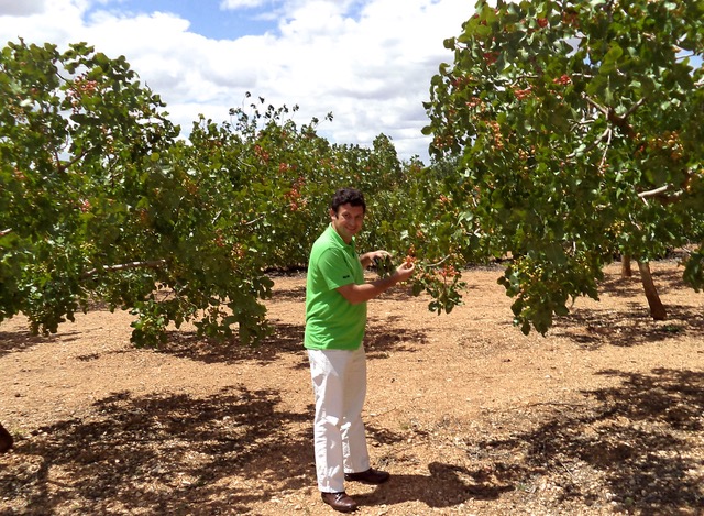José Manuel Dorado grows organic pistachios in Alcala del Valle. Photo © José Manuel Dorado